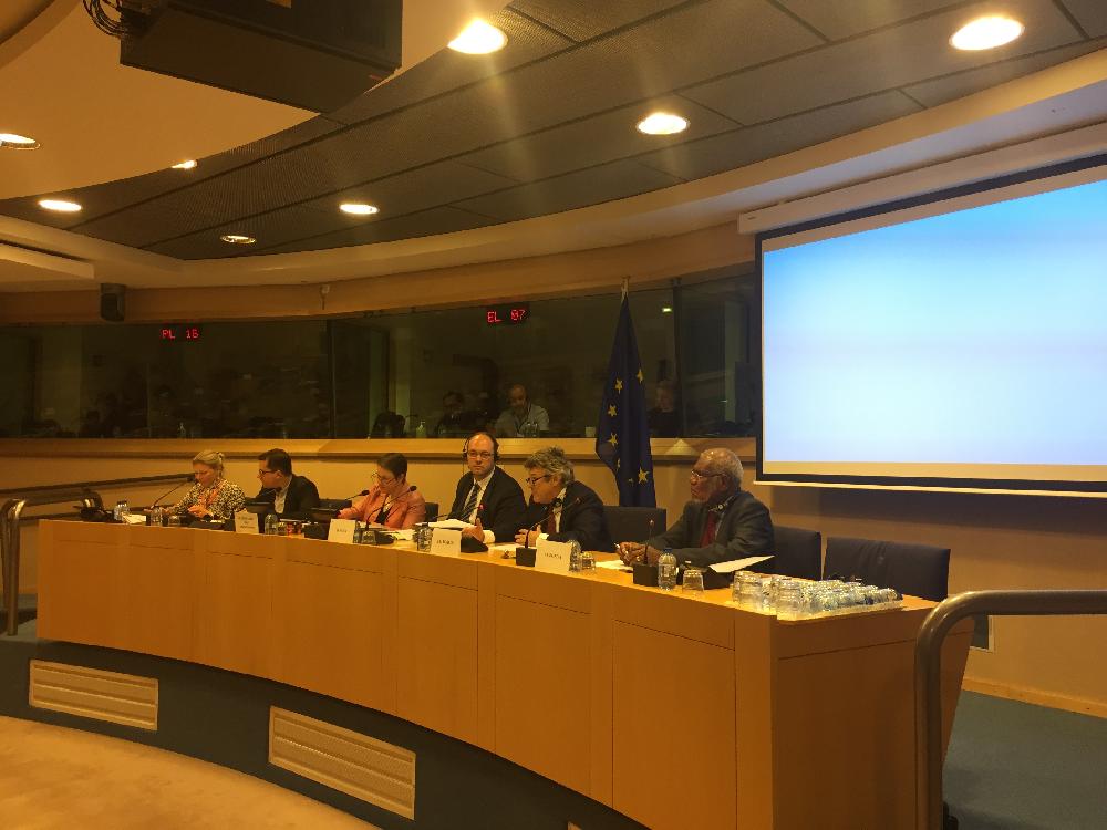 Jean-Louis Borloo intervient à la commission du Développement du Parlement Européen 